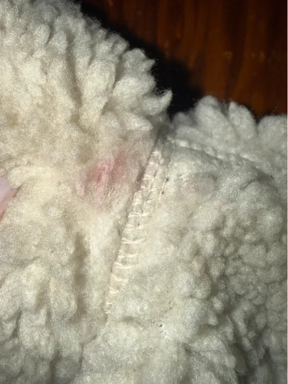 Gap Kids Outdoor Sherpa Fleece Jacket Small Cream Blue Full Zip